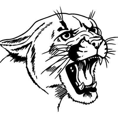 Cougar